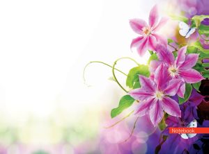 Purple-pink clematis flowers and white butterflies on a white bokeh backdrop