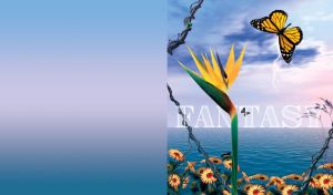 A fantasy of paradise flower, asters and butterflies by the ocean