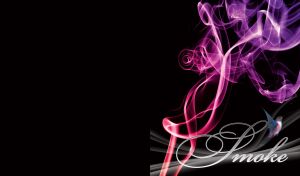 Little white bird with black wings flies next to the neon purple smoke