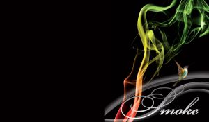 Little white bird with brown wings flies next to the neon green and red neon smoke