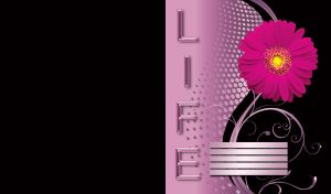 Fuchsia aster on a light pink wallpaper covered with metallic dots and pink swirls