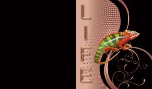 Orange-green lizard on tan wallpaper covered with dots and pale swirls