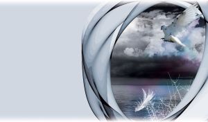 White bird flying on gray purple sky over water with feather and bush stencil below