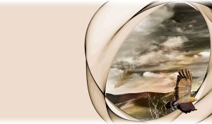 Golden eagle flying on gray brown sky over dunes with feather and bush stencil below