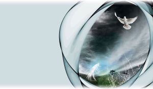 White pigeon flying on dark teal sky over the hill with feather and bush stencil below