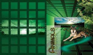 Wolf lies in a green cubic room behind which is a landscape of a green field