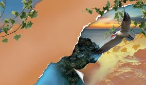 No Borders | Exotic Birds Close-up against Scenic Landscapes and Torn Wrapping Paper