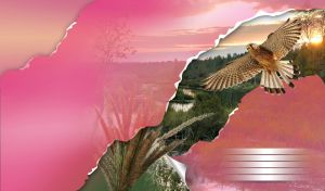 Sand color falcon flies above the green forest and a clear river