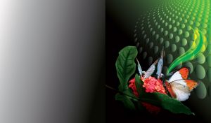 Orange-white butterflies on a pink hydrangea on green to black techno gradient