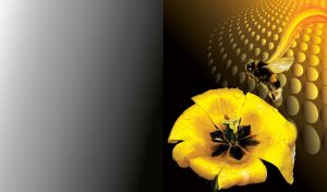 Bee flies over a yellow blooming tulip on yellow to black techno gradient