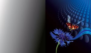 Ladybug flies over a blue blooming cornflower on blue to black techno gradient