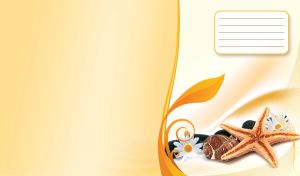 Orange starfish, seashell, spa stones and daisies on pastel yellow gradient