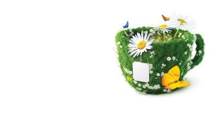 Nature in Cups | Whimsical Beverage Artistry on White