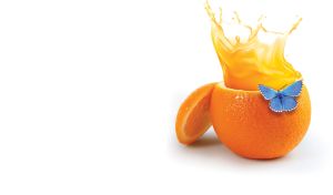 Splash of orange juice in an orange-shaped cup with a blue butterfly sitting on it