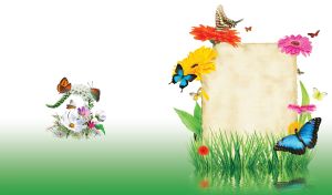 Parchment in the green pond weeds surrounded by asters and butterflies