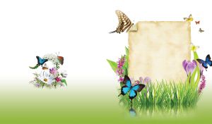 Parchment in light green pond weeds surrounded by crocuses and butterflies