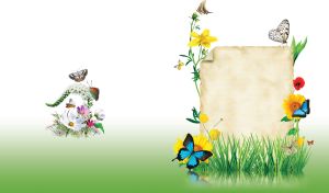 Parchment in the green pond weeds surrounded by wildflowers and butterflies