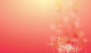 White decorative flowers on a pastel red background