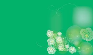 White decorative flowers on a green background