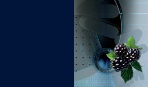 Berries on Abstract Art Backdrops | With geometric forms and floral elements