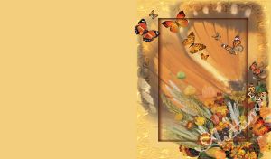 Seasonal Splendor | Nature's Dance with Butterflies in Frames