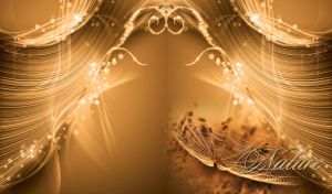 Beautiful tan nature with some abstract decoration and spider web