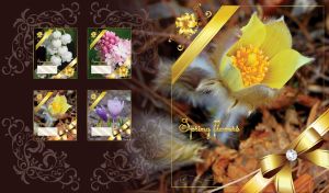 Spring framed yellow prairie crocus