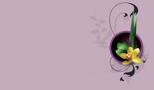 Flower Pot | Floral Harmony on Tonal Backgrounds | Flat Lay