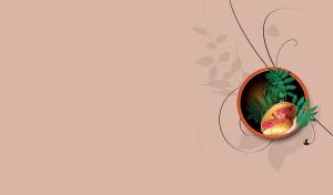 Beautiful pink blossom with green leaves in a pot on tan