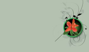 Beautiful orange flower in a pastel green pot