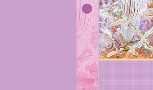 Orchid art on pastel purple