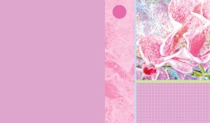 Orchid art on pastel pink