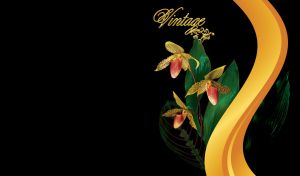 Beautiful vintage yellow orchids flowers on a black background