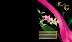 Beautiful vintage pink and green orchids flowers on a black background