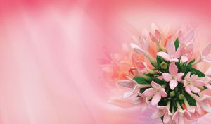Pink tuberose in the rays of light, on a watercolor pink background