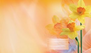 Narcissus in the watercolor shadows