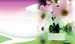 White chrysanthemum covered with dew against a background of plants by the water