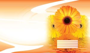 Orange and yellow gerberas above the surface of calm water on an orange gradient