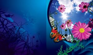 Motley butterfly sits by the pink pyrethrums in the sun on a navy-blue gradient