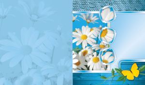 White daisies and a yellow butterfly against pastel blue wood and wicker