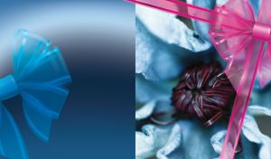 Flower blooms in a bunch of blue flowers and a translucent pink and blue bows