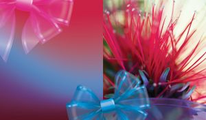 Spiky red flower and a translucent blue and pink bows
