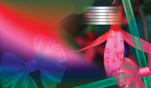 Flower with water drops on its petals and pink and green bows