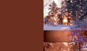 Landscape of a sunrise in the white winter forest of ice-rimmed tree