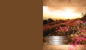 Landscape of a pink spring flower meadow in the bright sunset