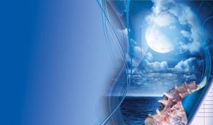 Elegant Seashells | Under Celestial Horizons | With Patterned Overlay Backdrop