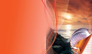 Elegant seashell on the rocky beach under sunset