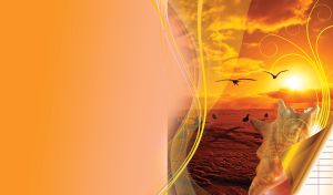 Elegant seashell with birds on sky under sunset