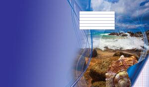 Elegant seashell on a beach coast