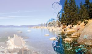 Waterscapes Unveiled | Translucent Seas and Lakes with Seashell Inspirations